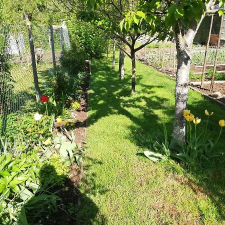 Apartment Sopar Škofja Loka Esterno foto