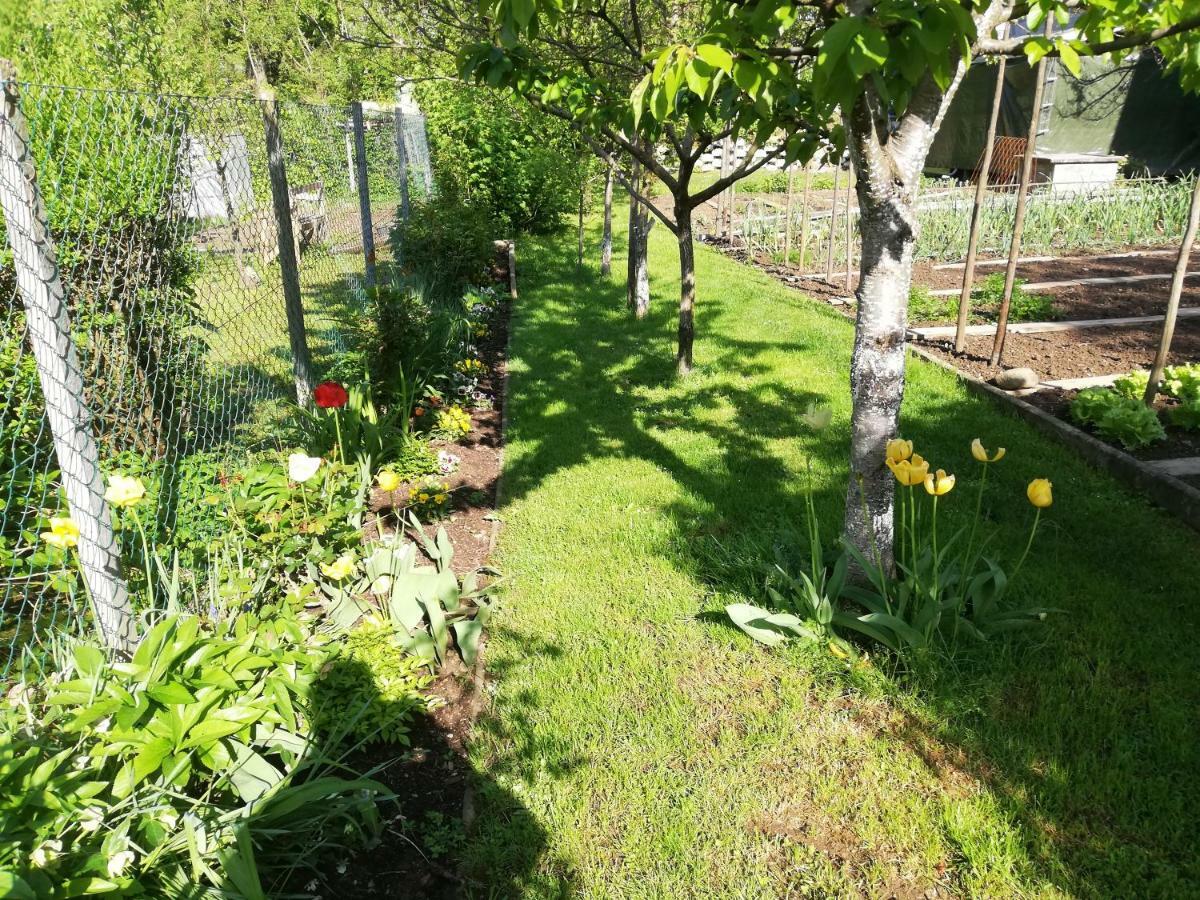 Apartment Sopar Škofja Loka Esterno foto